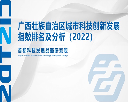 亚洲激情综合【成果发布】广西壮族自治区城市科技创新发展指数排名及分析（2022）